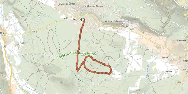 The The Pelenc forest from Régusse track on the IGN map