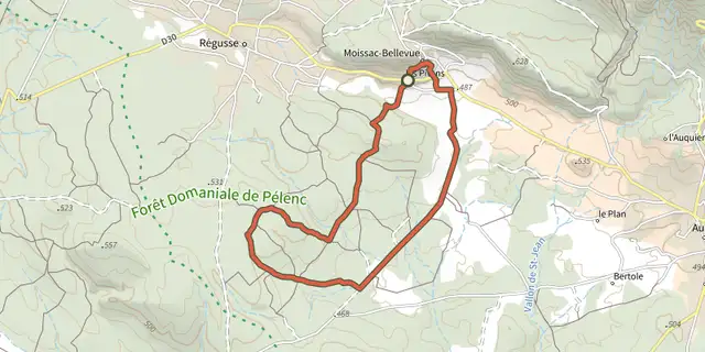 The The Pelenc forest from Moissac Bellevue track on the IGN map