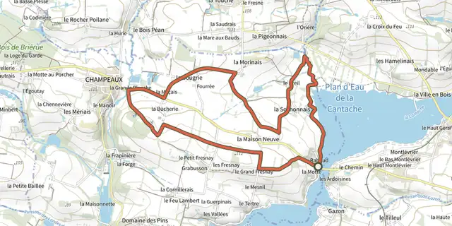 The Peat Bog Footbridge Loop track on the IGN map